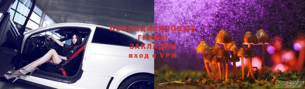 ГАЛЛЮЦИНОГЕННЫЕ ГРИБЫ Осташков