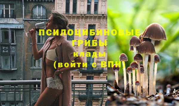 мяу мяу кристалл Осинники