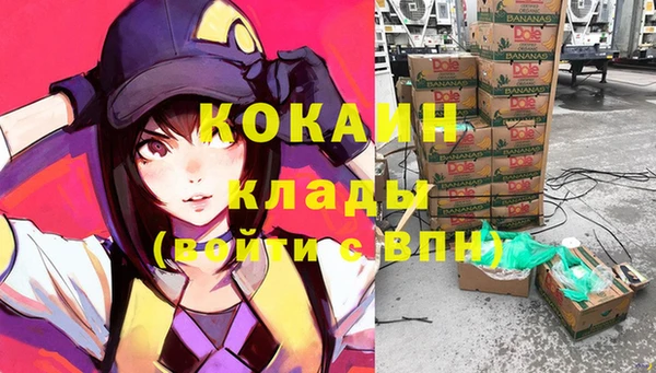 крисы Ивангород