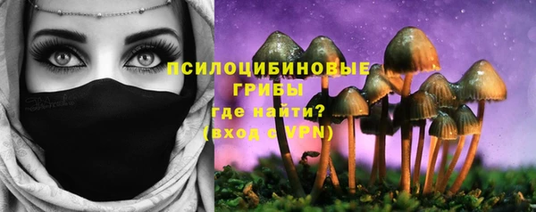 ГАЛЛЮЦИНОГЕННЫЕ ГРИБЫ Осташков
